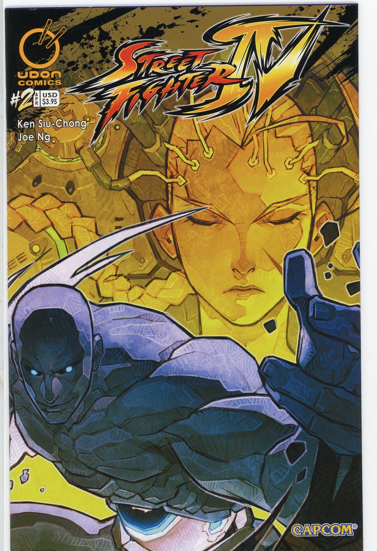 STREET FIGHTER 4 #2 NM STUNNING COVER INCREDIBLE GLOSSY FINISH