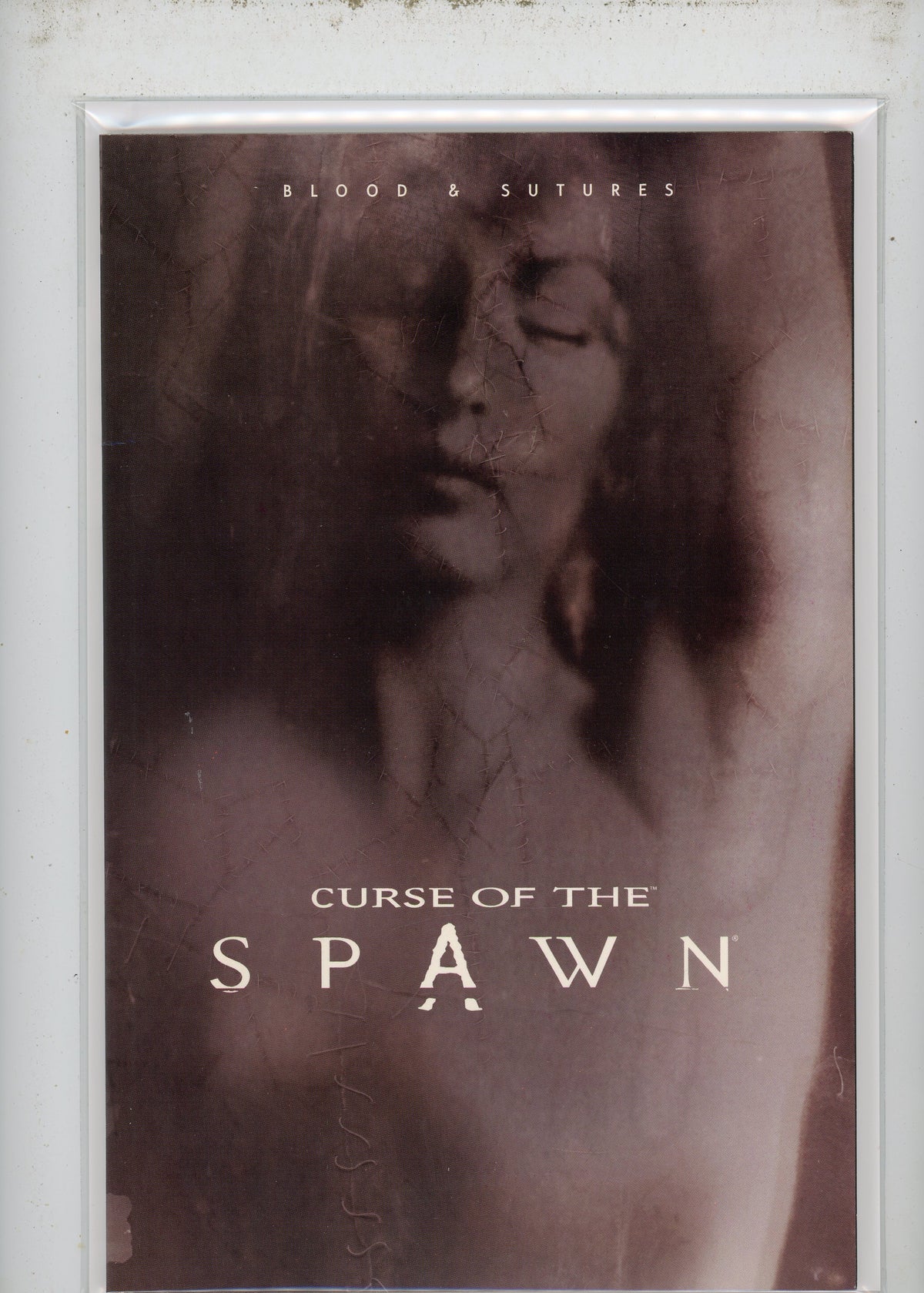 CURSE OF THE SPAWN BOOK 2 NM IMPRESSIONISTIC COVER NICE SHEEN