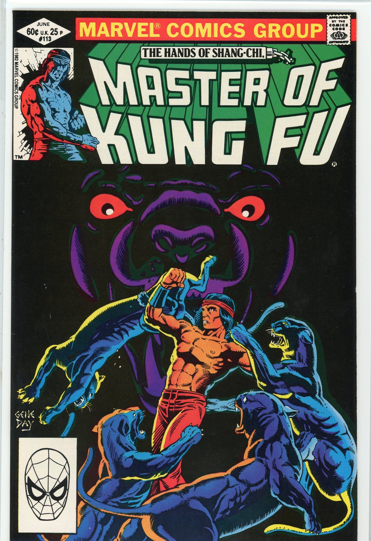 MASTER OF KUNG FU #113 NM CLASSIC GENE DAY COVER NICE BLACK HUES