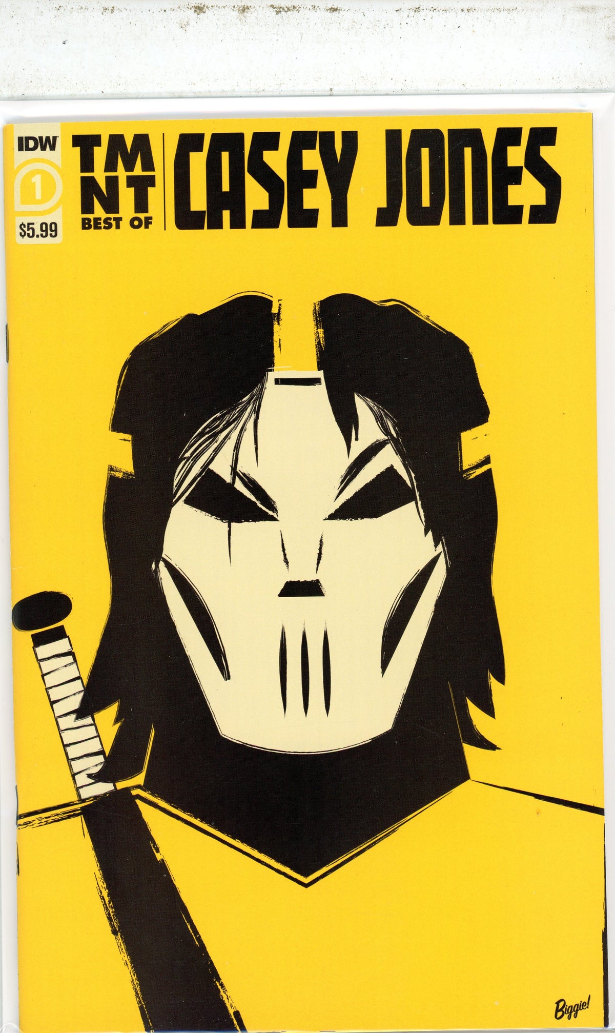 TMNT BEST OF CASEY JONES #1 NM AWESOME COVER BRILLIANT SHEEN