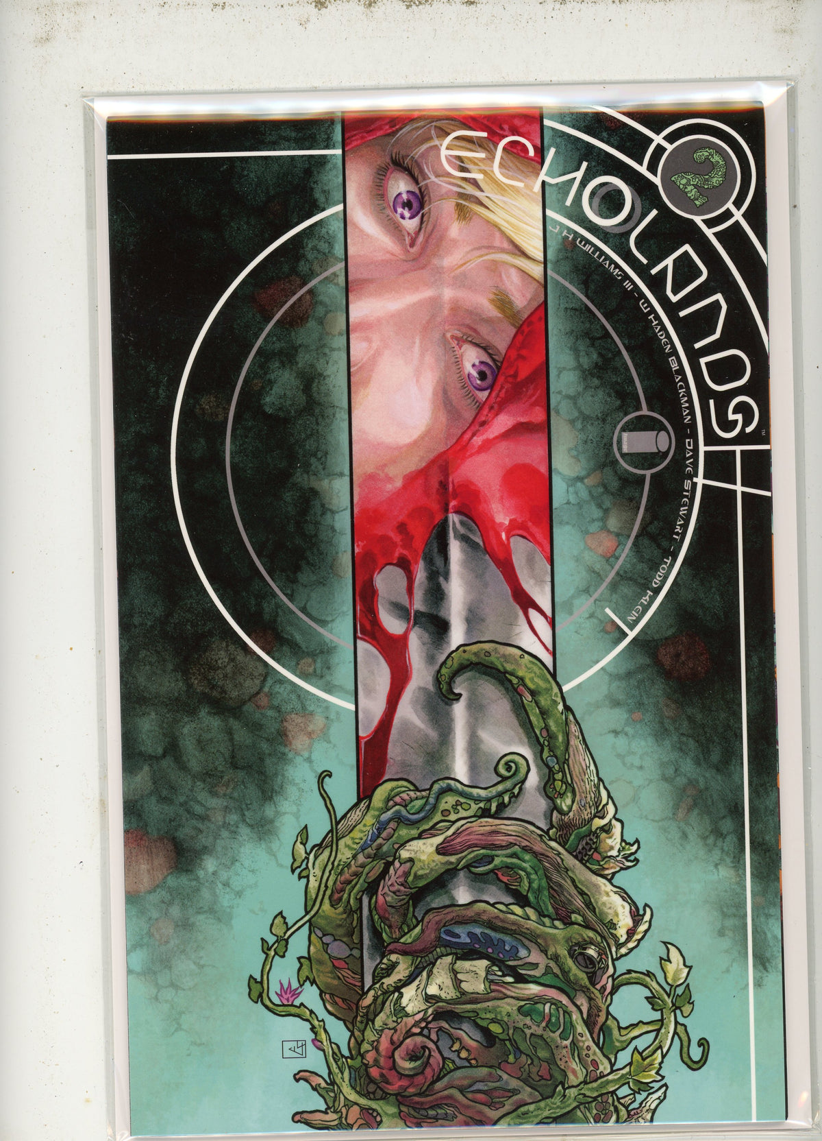 ECHOLANDS #2 NM WILLIAMS WORK STUNNING COVER BRILLIANT SHEEN